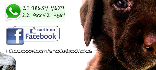 Clicque aqui e curta nossa p&aacute;gina no Facebook