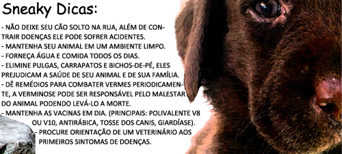Sneaky dicas
